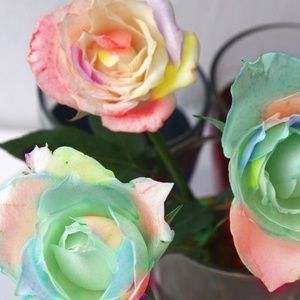 Meet your Posher, Dreka